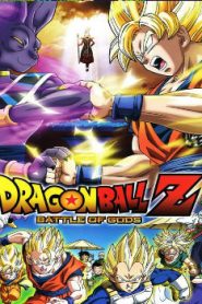 Dragon Ball Z: Battle of Gods Movie English Subbed