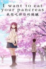 I Want to Eat Your Pancreas Movie English Dubbed